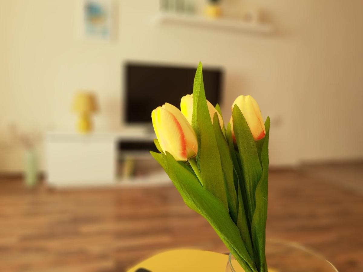 Fonix Family Apartment A Step From Szechenyi Square ペーチ エクステリア 写真